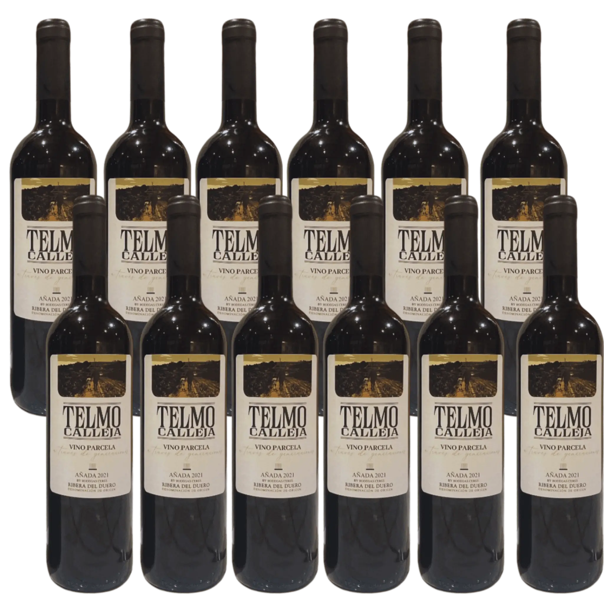 12 Flasker Telmo Calleja Ribera del Duero Rødvin.