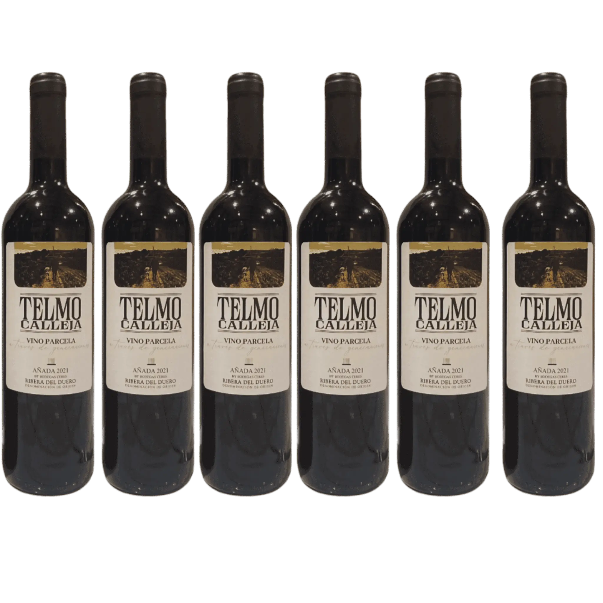 6 Flasker Telmo Calleja Ribera del Duero Rødvin.