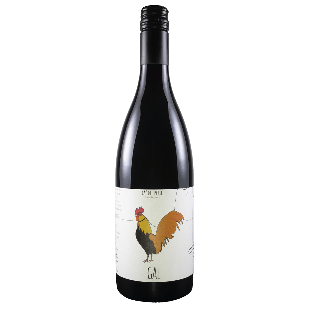 Barbera d'Asti DOCG "GAL" 2022 - Økologisk Rødvin Tilbud!
