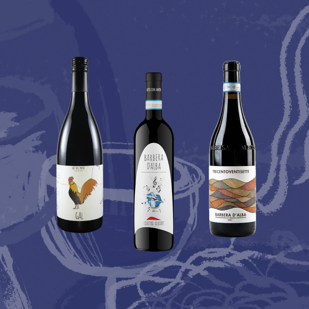 Barbera Smagekasse - Oplev Italienske Vinspecialiteter