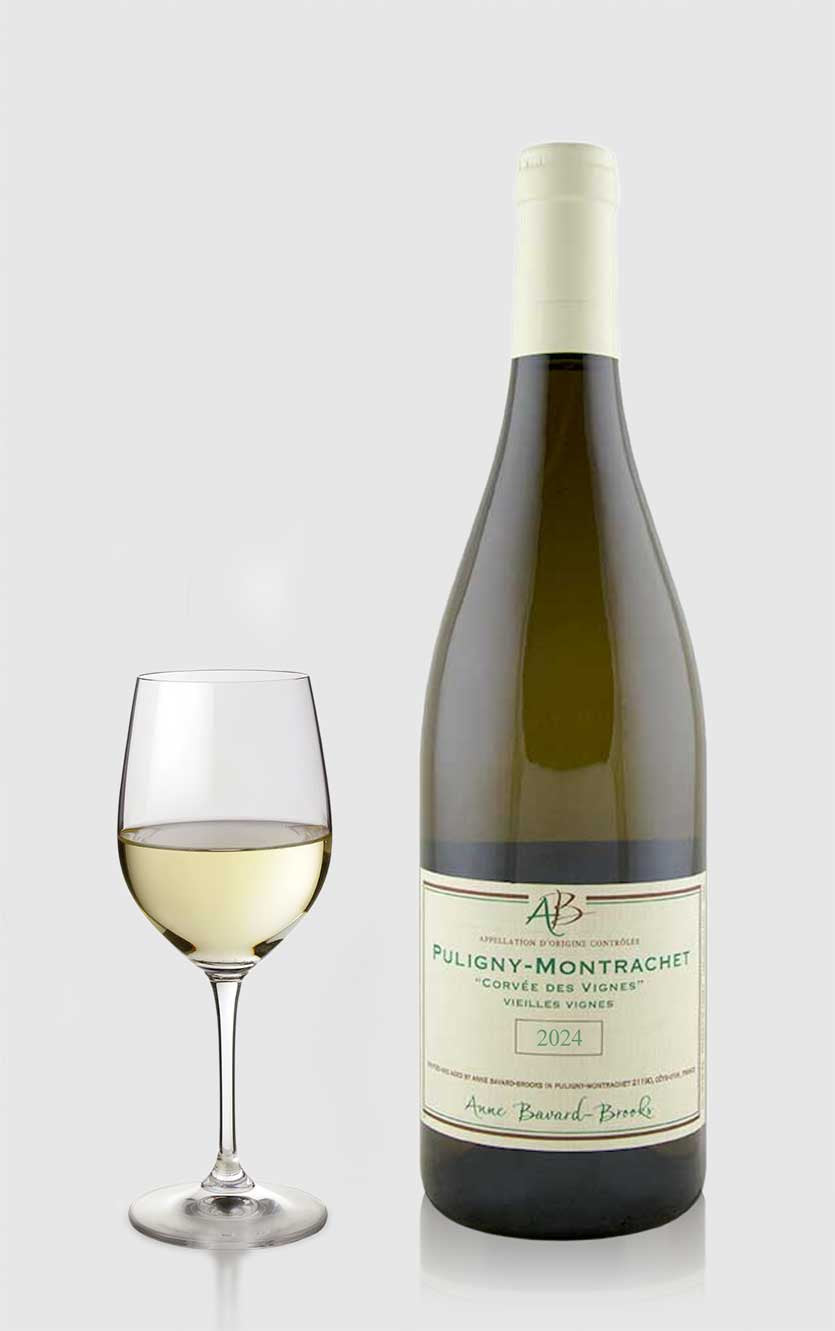 Bavard-Brooks Puligny-Montrachet "Corvée des Vignes" Vieilles Vignes 2024