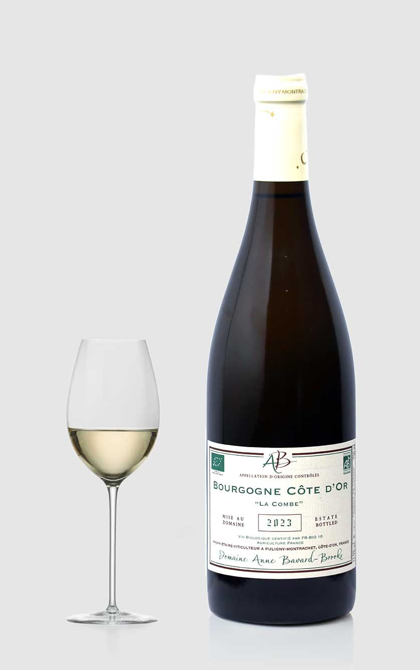 Bourgogne Côte d'Or Blanc "La Combe" 2023