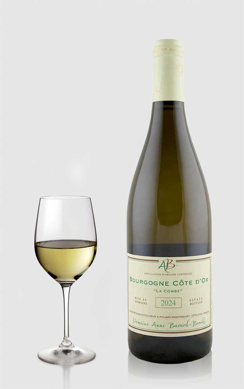 Bourgogne Côte d'Or Blanc "La Combe" 2024