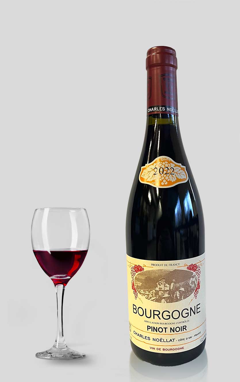 Bourgogne Pinot Noir 2022 Domaine Charles Noëllat