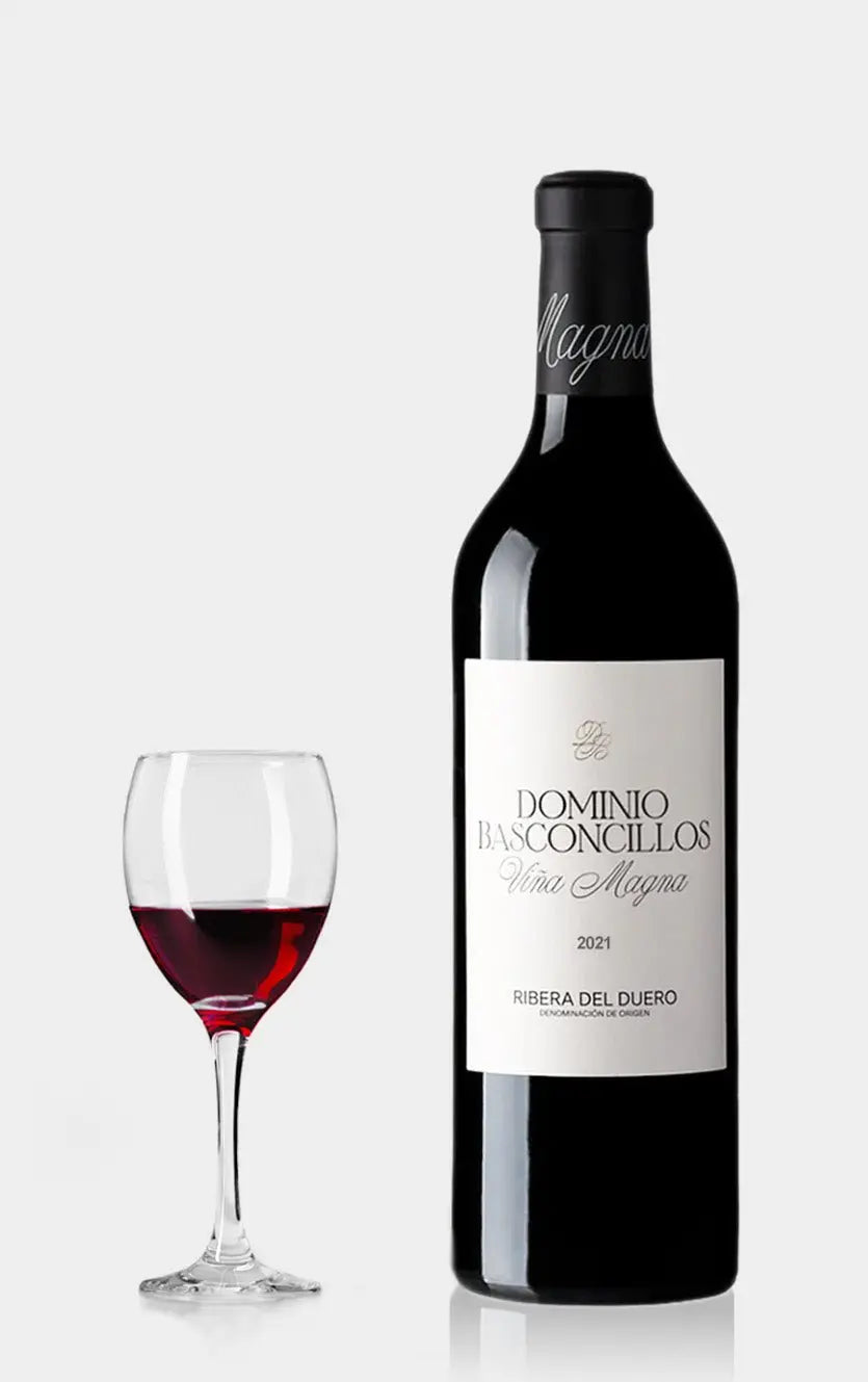 Dominio Basconcillos Vina Magna Crianza 2022