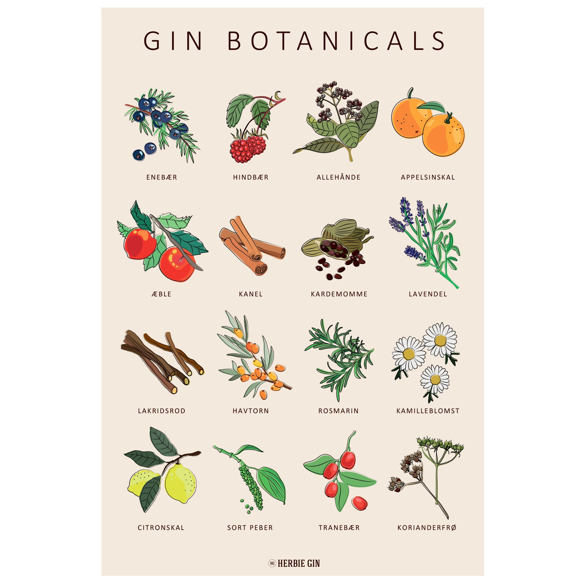 Håndtegnet gin plakat med botanicals - 30×50 cm