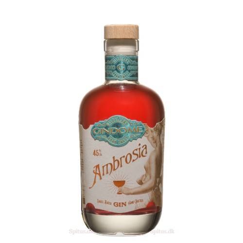 Gindome Ambrosia