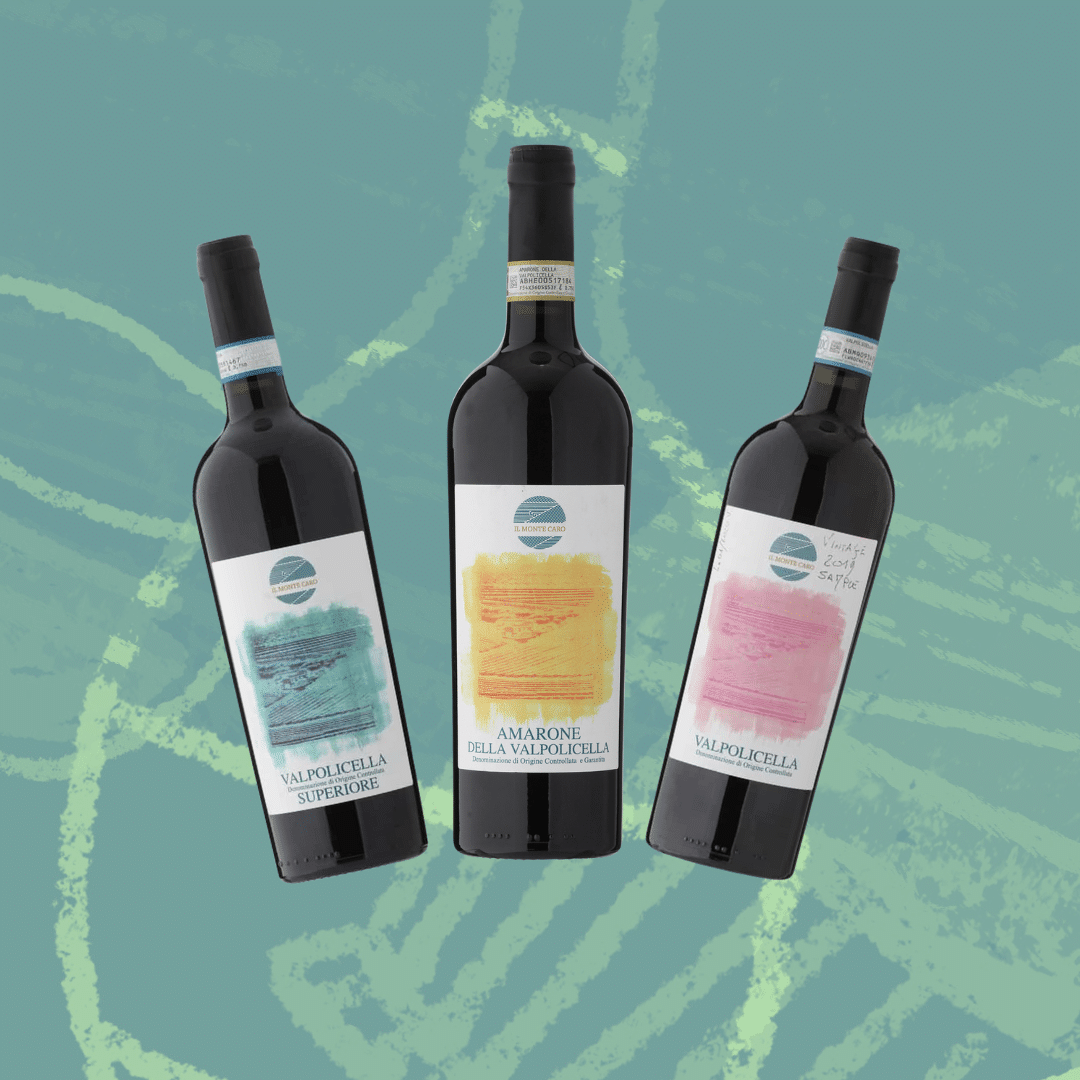 Il Monte Caro Smagekasse – Smagsrejse til Valpolicella