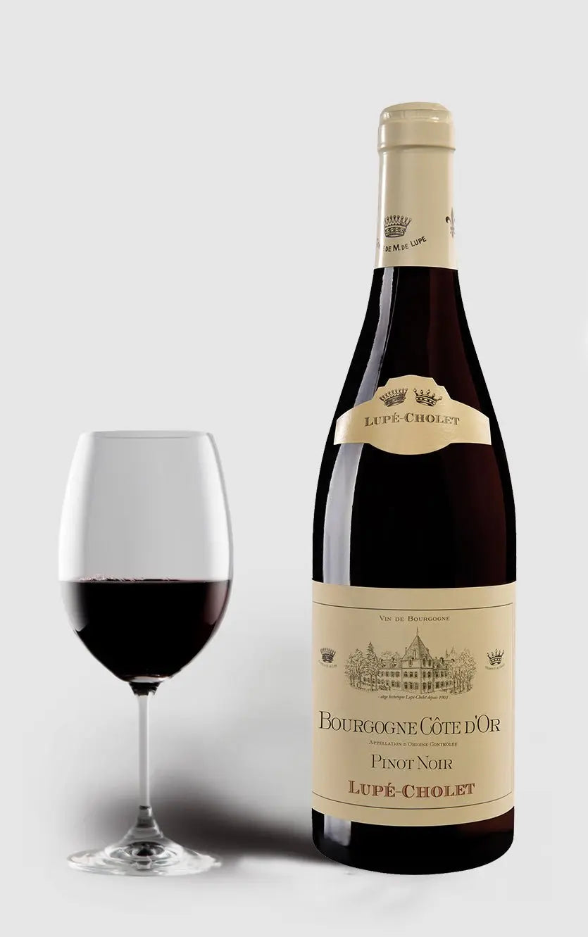 Lupe-Cholet 2022 Pinot Noir Cote D´Or Bourgogne