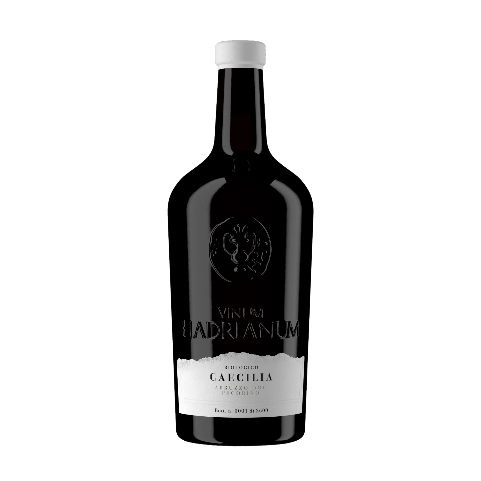 Pecorino Caecilia 2023 DOC - Økologisk Hvidvin fra Abruzzo