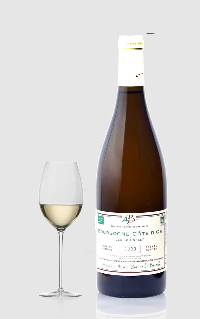 Elegant Bourgogne Côte d'Or Blanc "Les Equinces" 2023