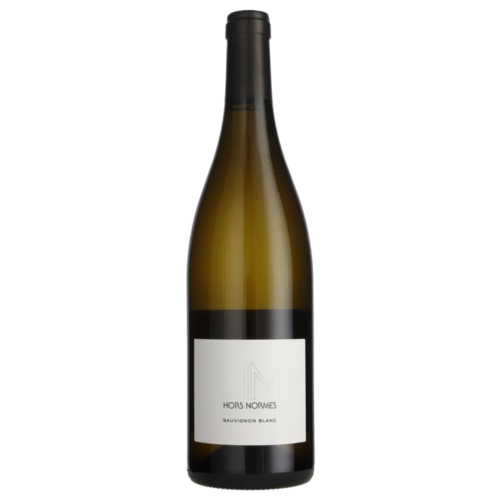 Sauvignon Blanc Hors-Norme, Loire 2024 Domaine Steve Millet