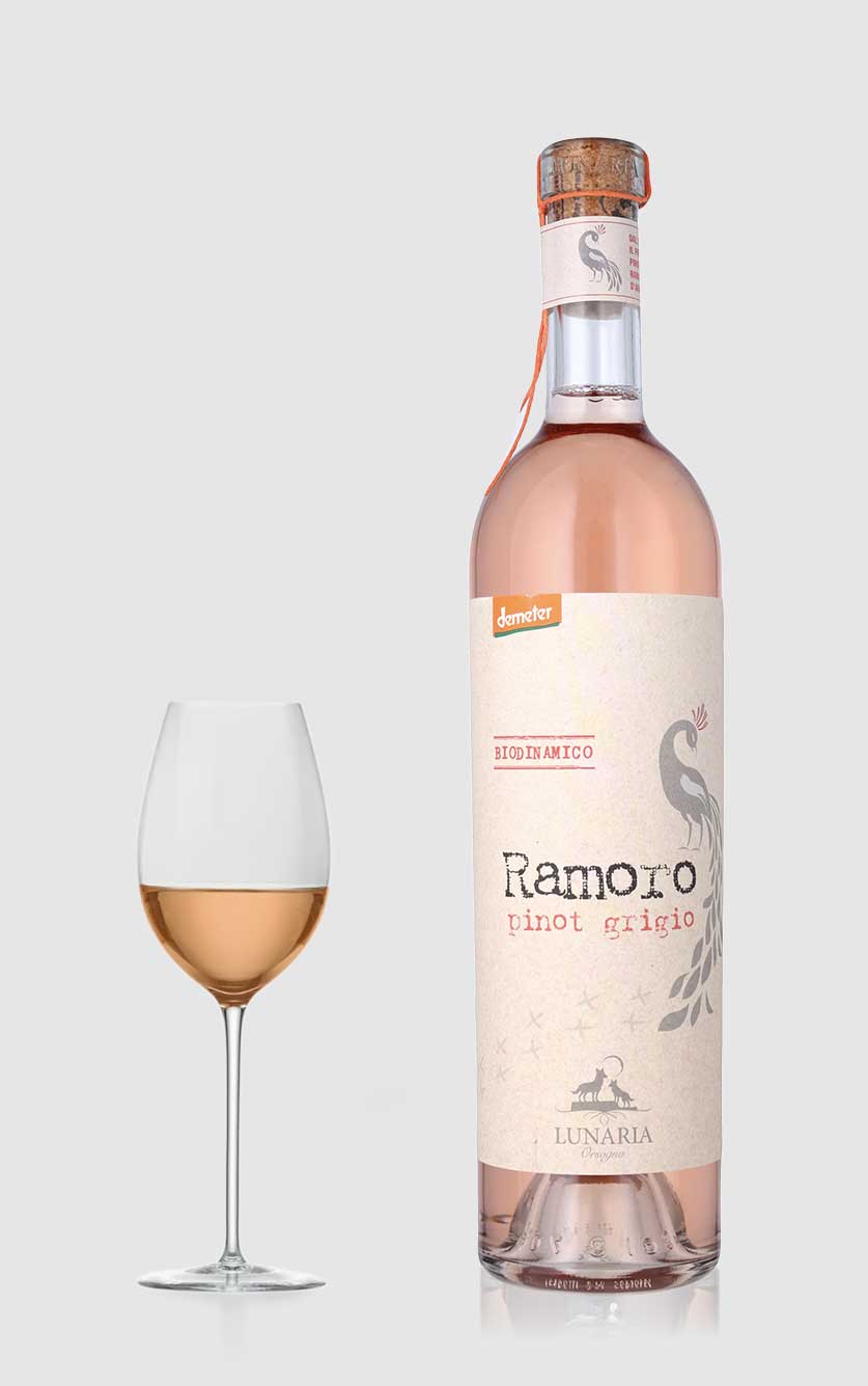 Ramoro Pinot Grigio Økologisk Orangevin 2024 fra Abruzzo