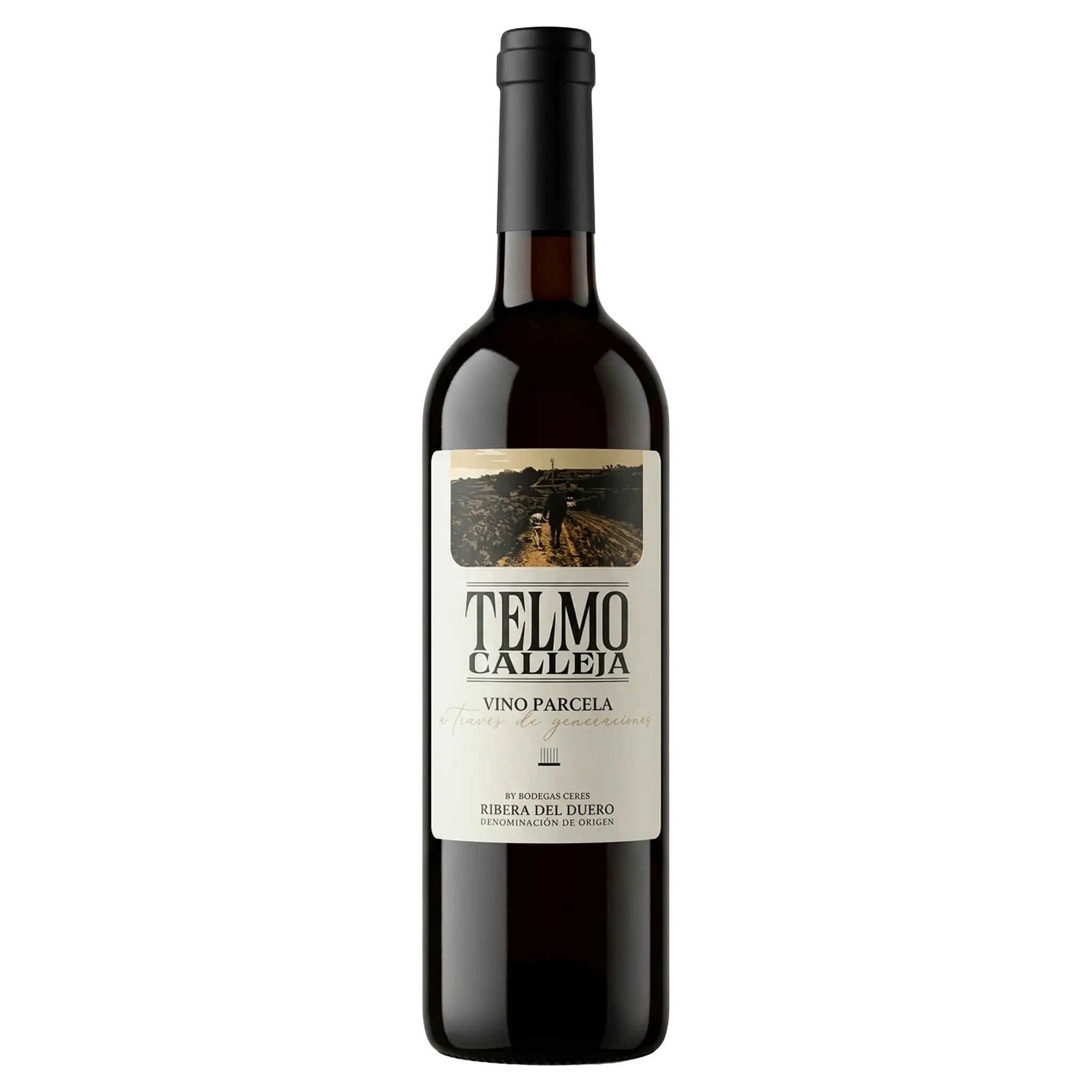 Telmo Calleja 2023 Ribera del Duero i verdensklasse.